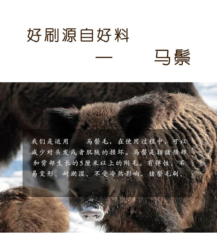 1 Pcs Ring Design Horse Bristle Men Shaving Brush Plastic Portable Barber Beard Brushes Salon Face Cleaning Razor Brush